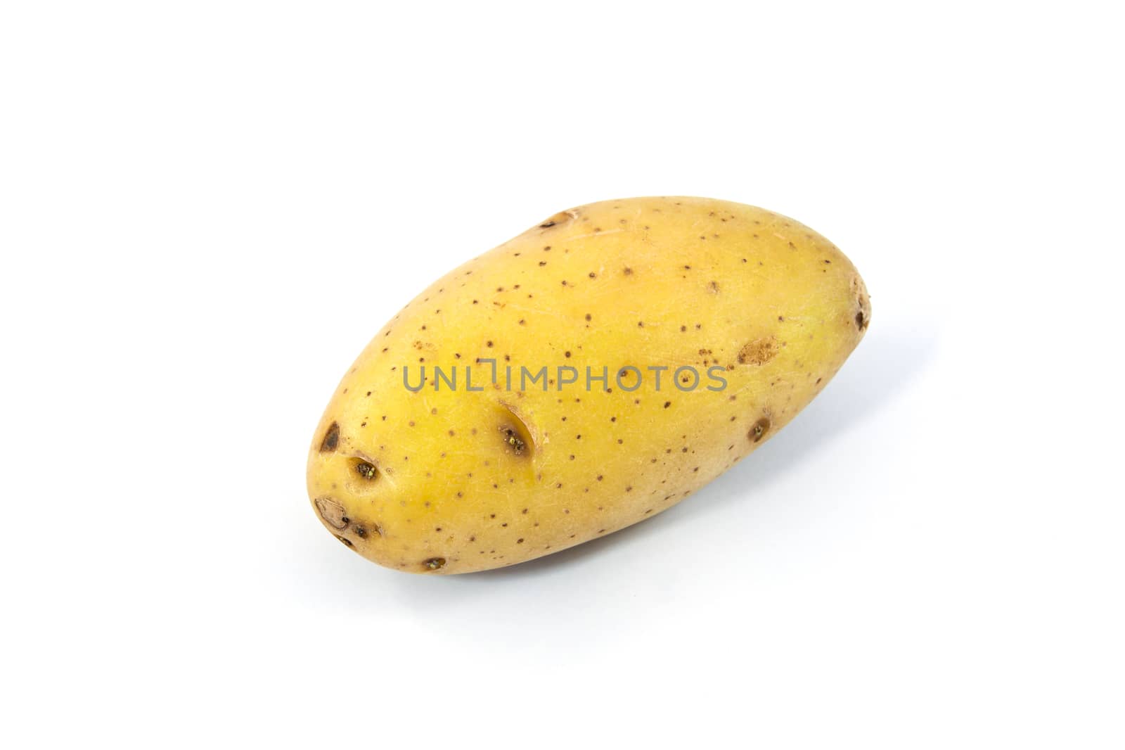 potato isolated on white background close up
