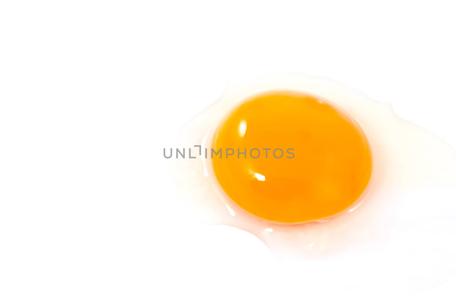 yolk isolate