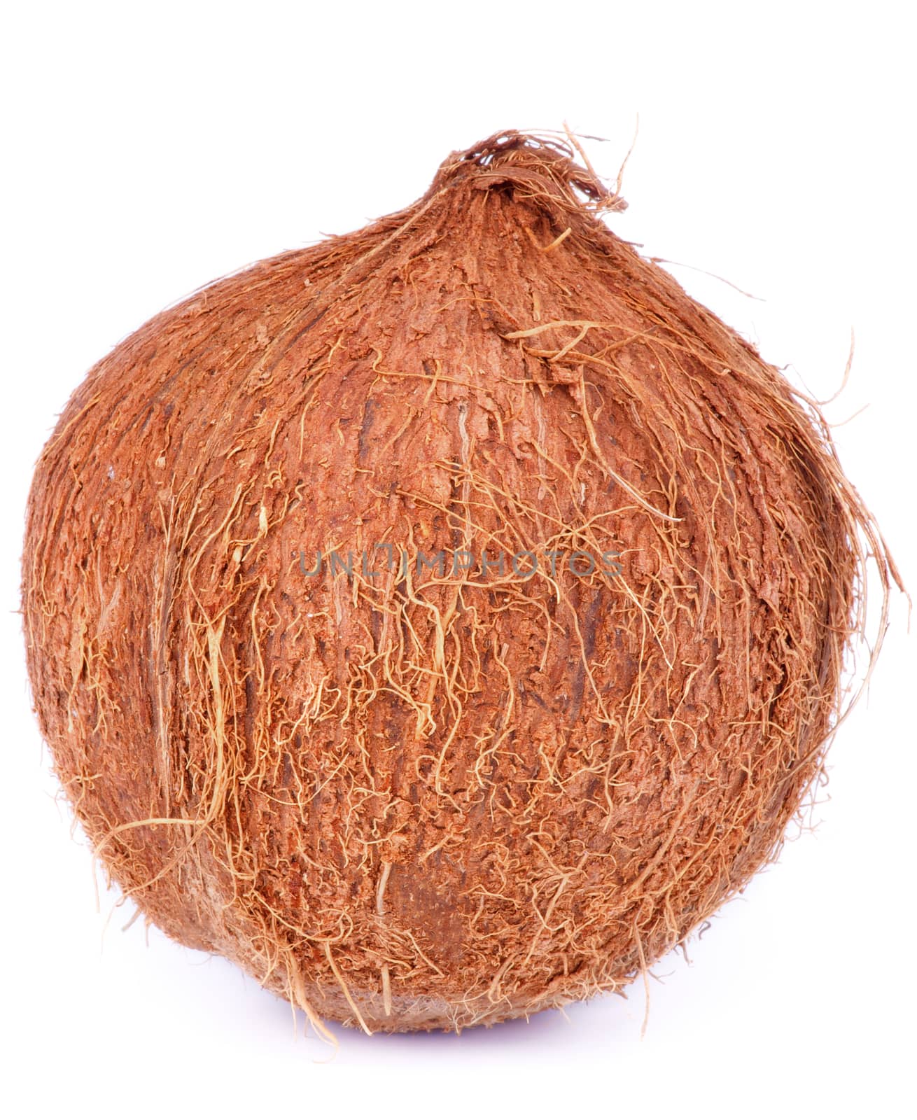 Ripe Coconut isolated on White background