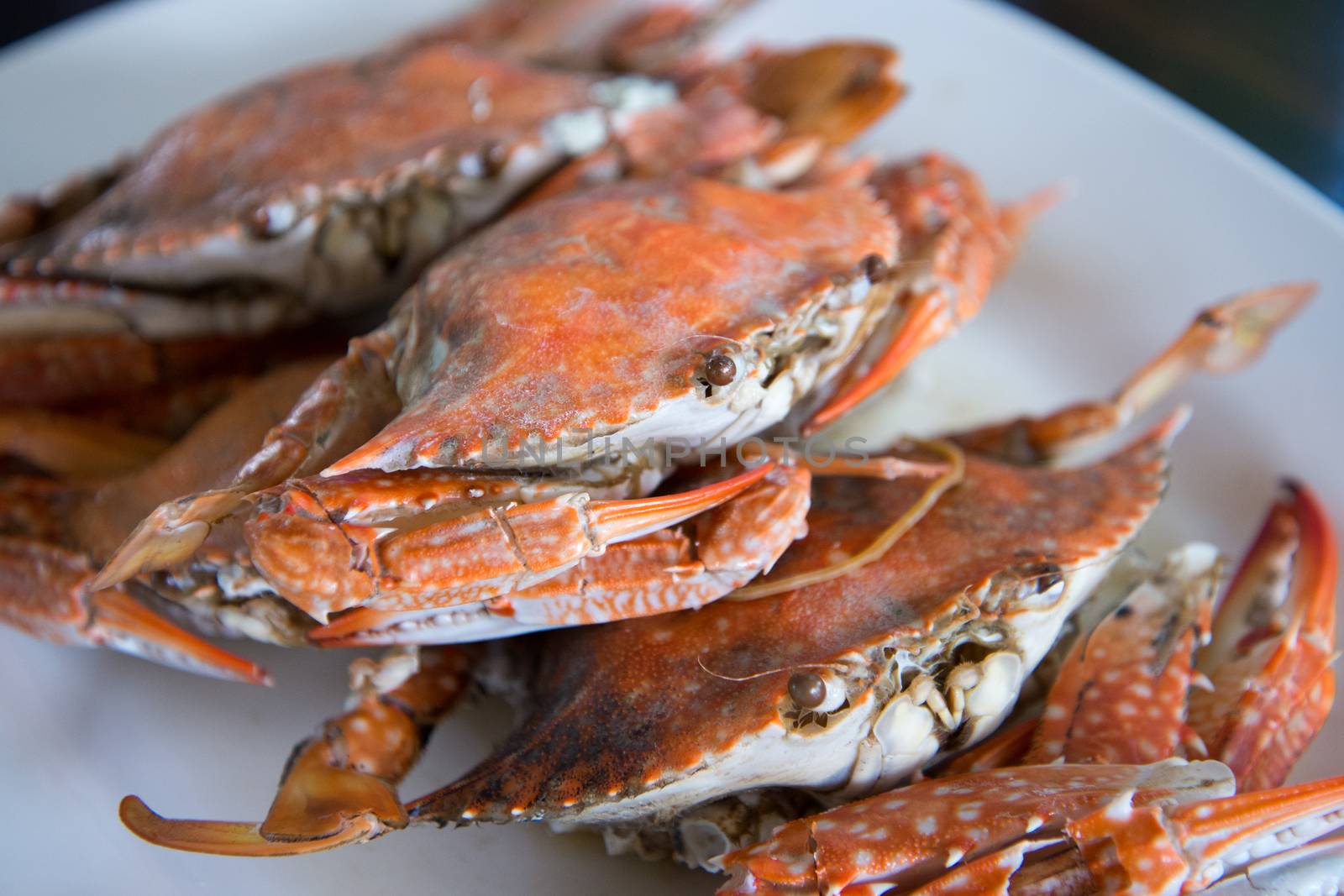 Close-up steamed blue crabs by jakgree