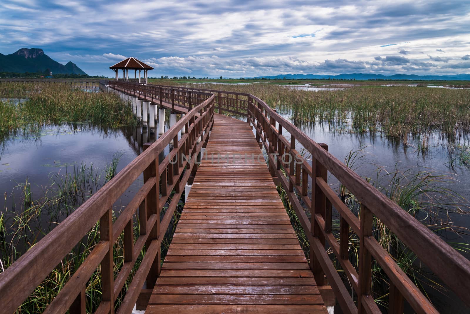 A pavillion overlooking a marsh in Sam Roi Yod National Park, Pr by jakgree