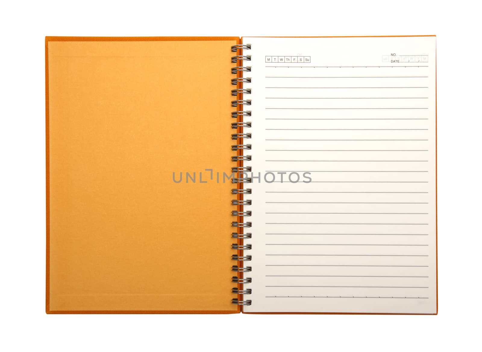 Blank NoteBook open two face