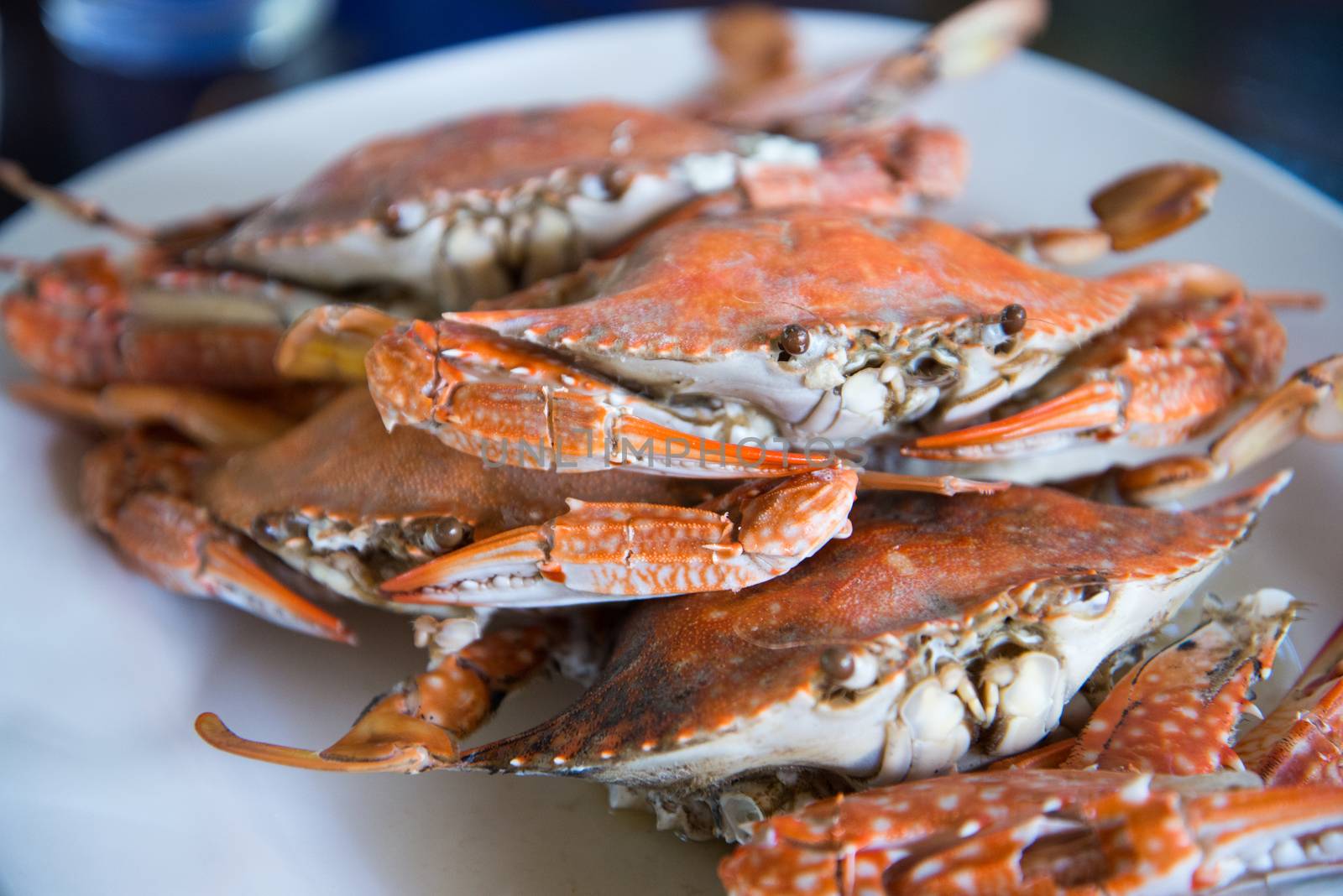 Close-up steamed blue crabs by jakgree