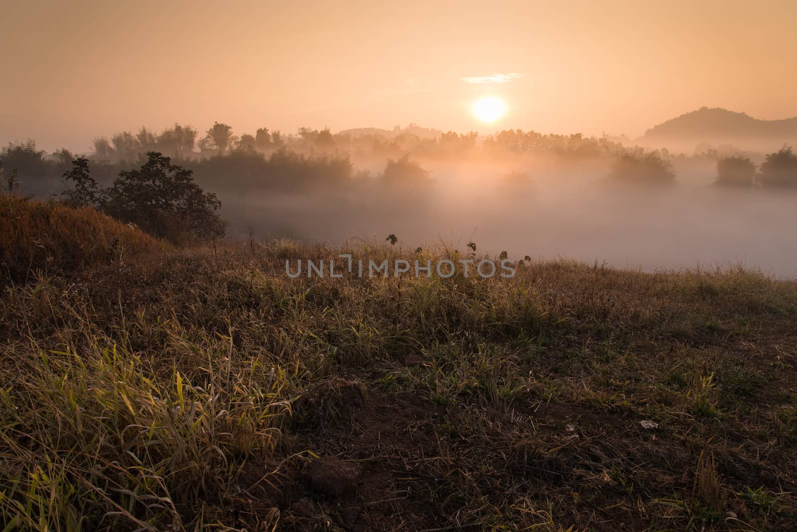 Landscape of mountain view at Phuthapboek Khoo kho , Phetchabun Thailand