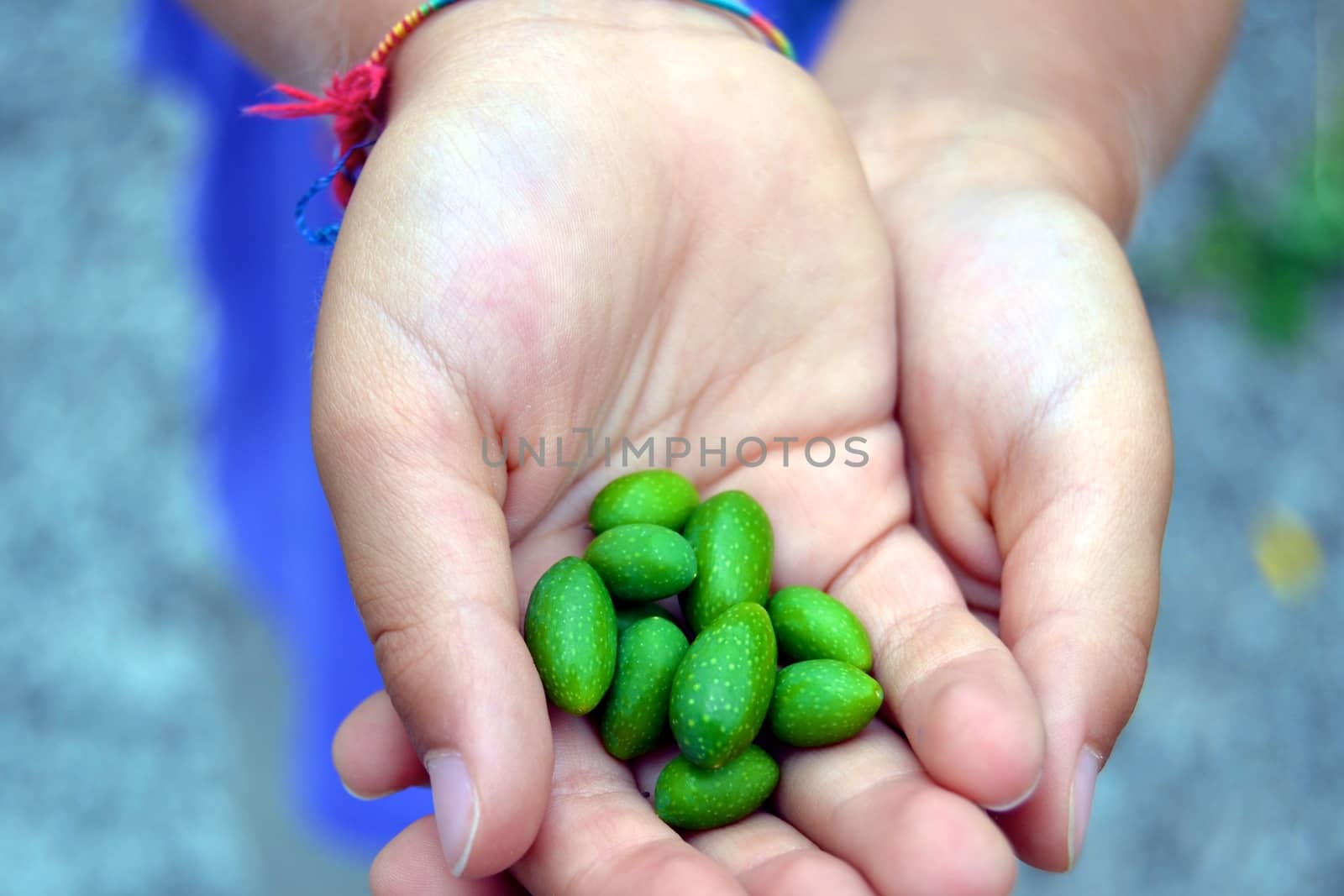 Child proudly showing his first harvest