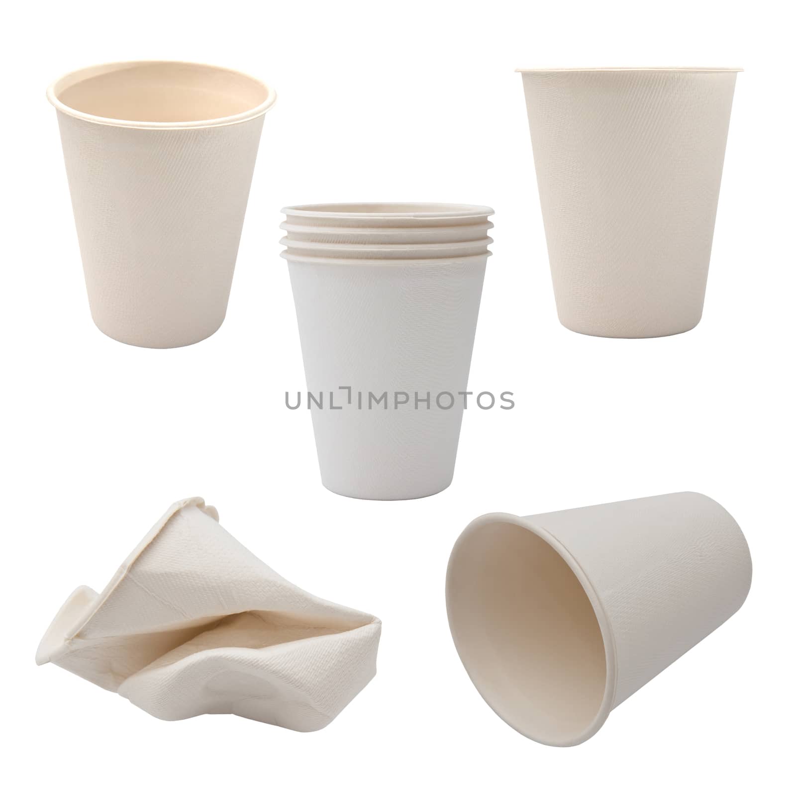 White Paper Cup close up