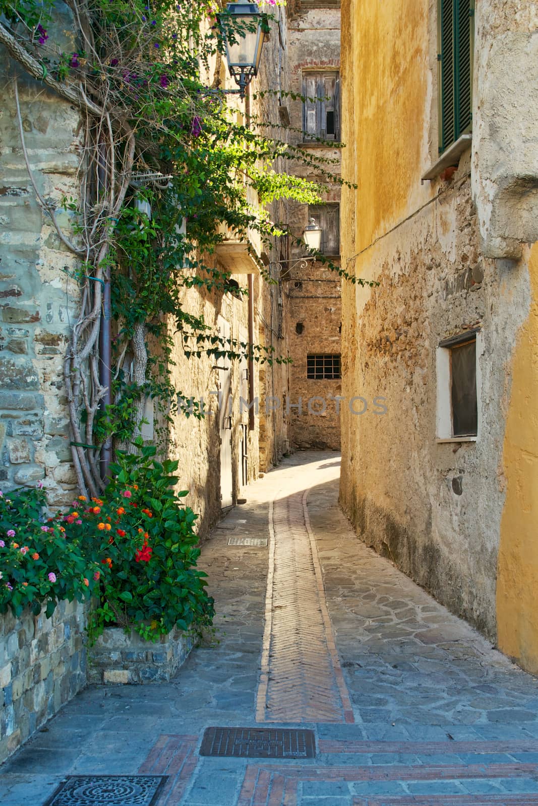 A tipical alley in Acciaroli, Cilento, Southern Italy