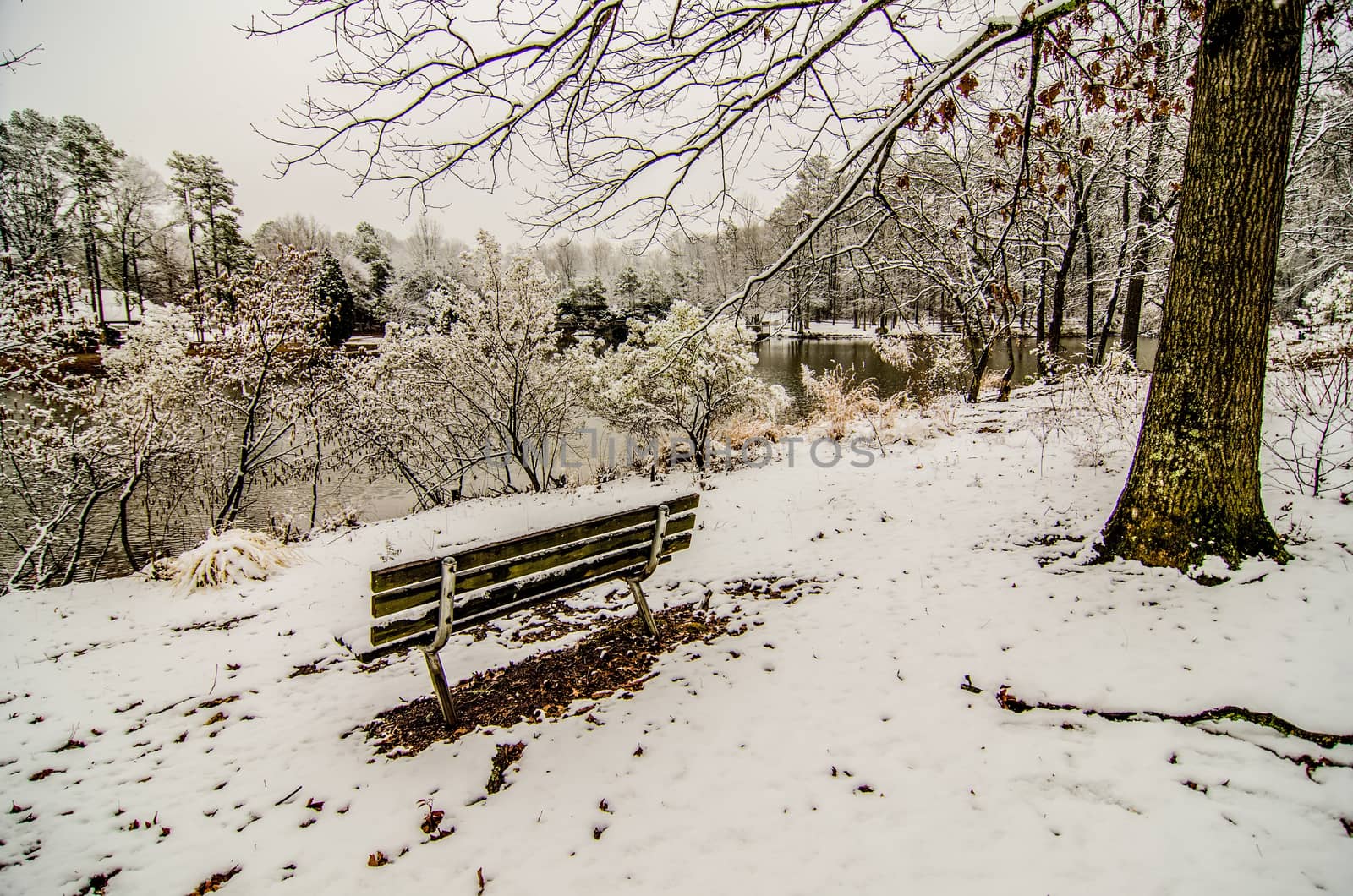 park bench in the snow covered park overlooking lake by digidreamgrafix