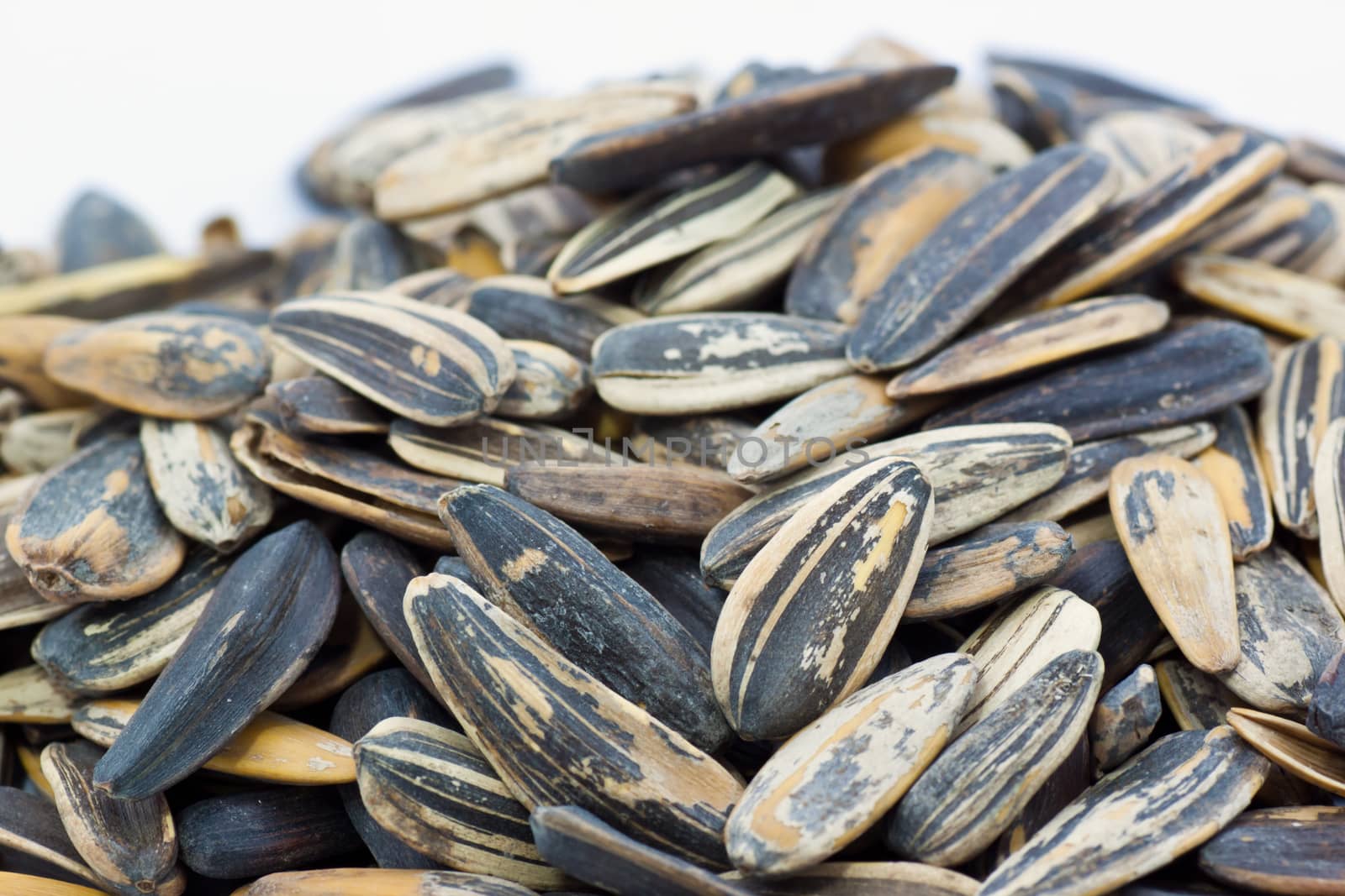 Sunflower seeds