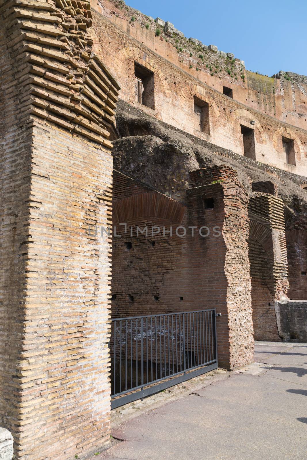 Detail of the Colosseum ruins by rosariomanzo