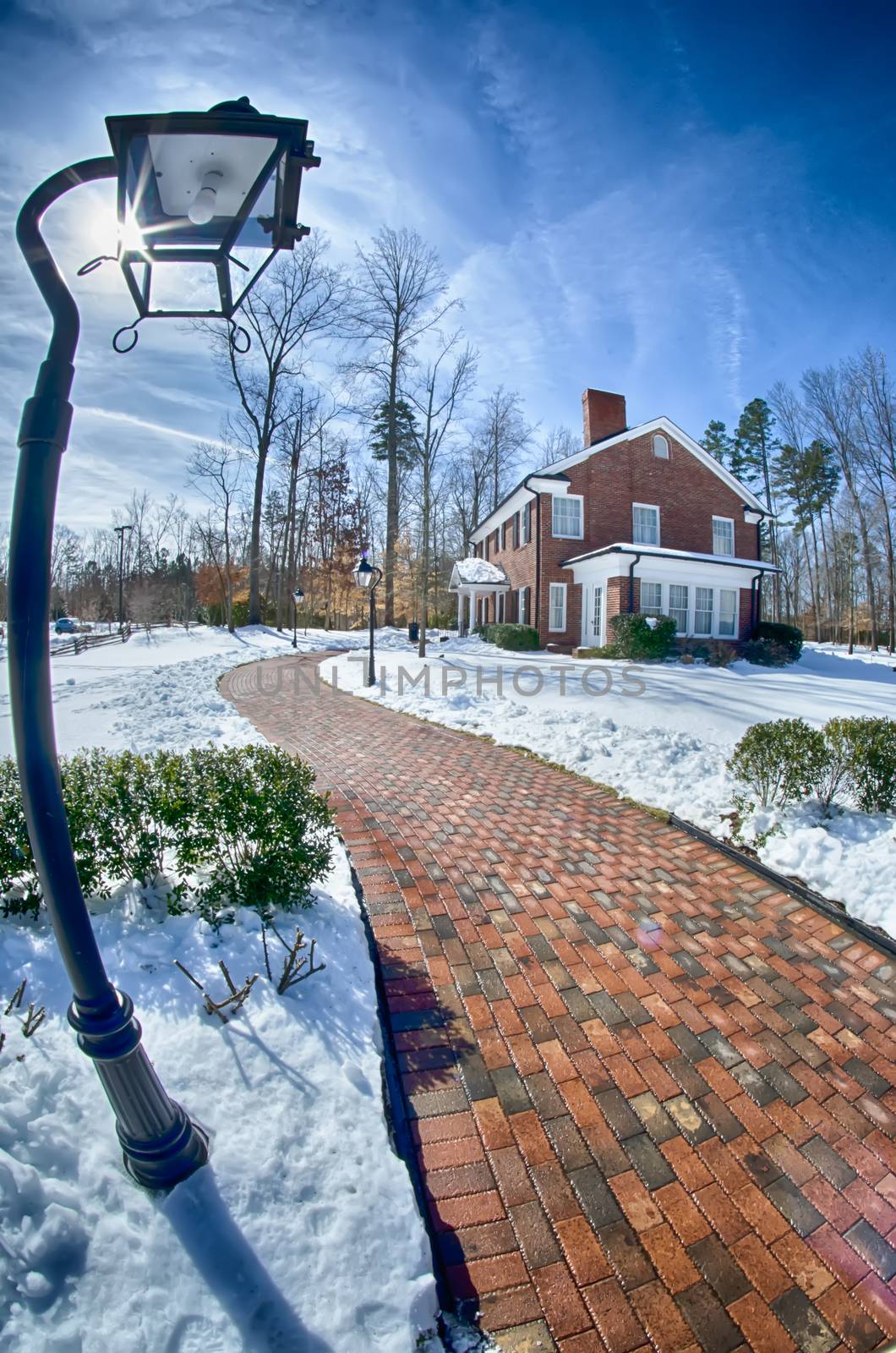 snow around billy graham library after winter storm by digidreamgrafix