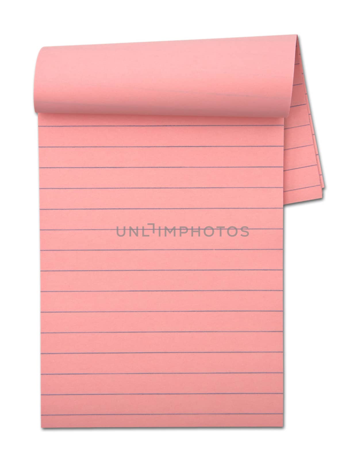 Notepad isolated on the white background