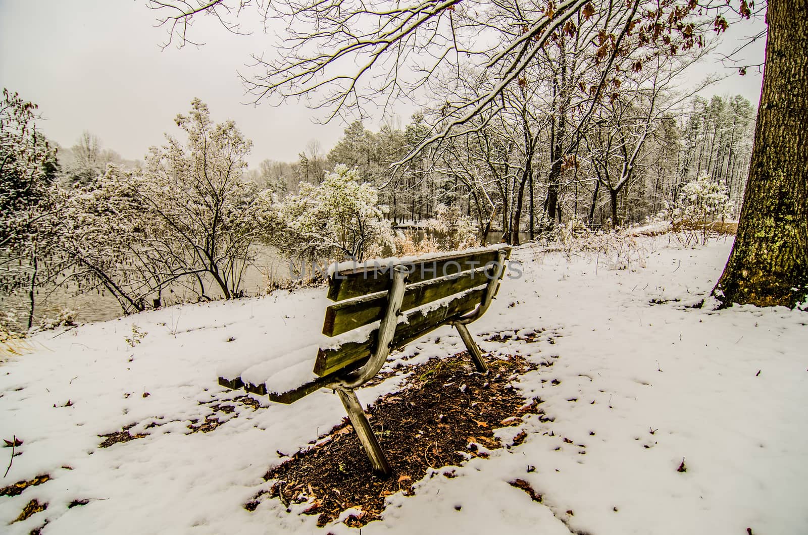 park bench in the snow covered park overlooking lake by digidreamgrafix