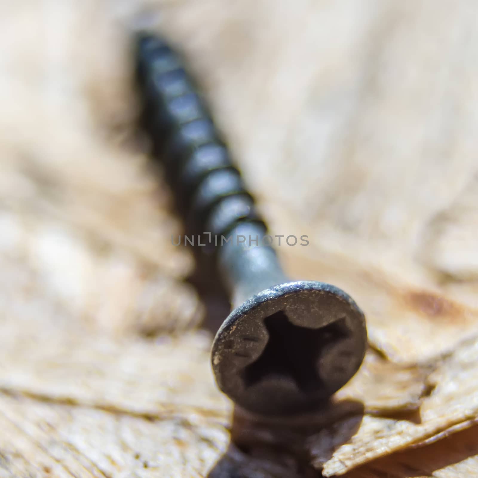 closeup of a plywood screw,general purpose