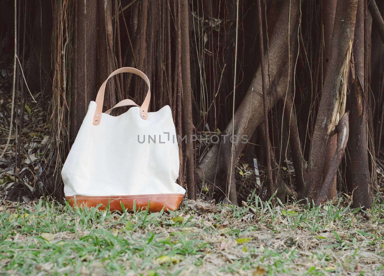 Fashion Canvas Bags with Banyan Tree by siraanamwong
