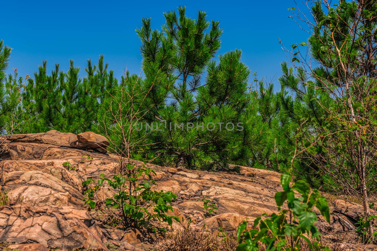 The view from the top of a rocky mountain with some green trees on a sunny day in the nature of Ontario, Canada.