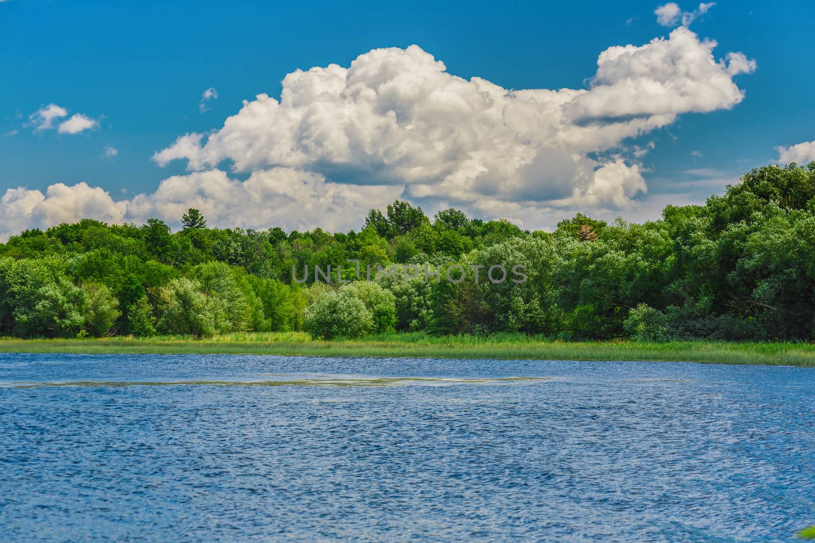 An amazing landcape of the nature containing a lake and a beautiful blue sky. The wild nature of Ontario, Canada.