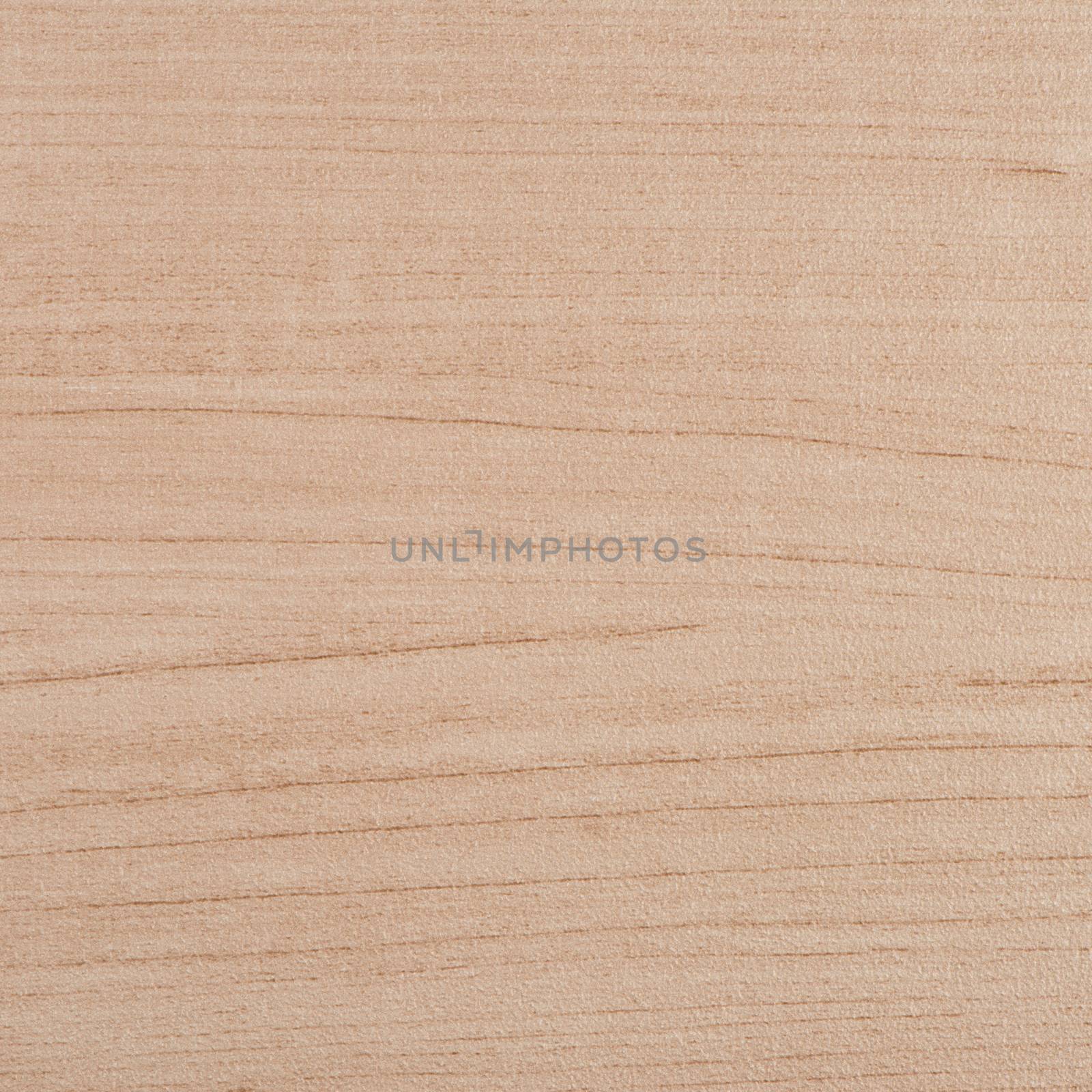 Beige vinyl texture by homydesign