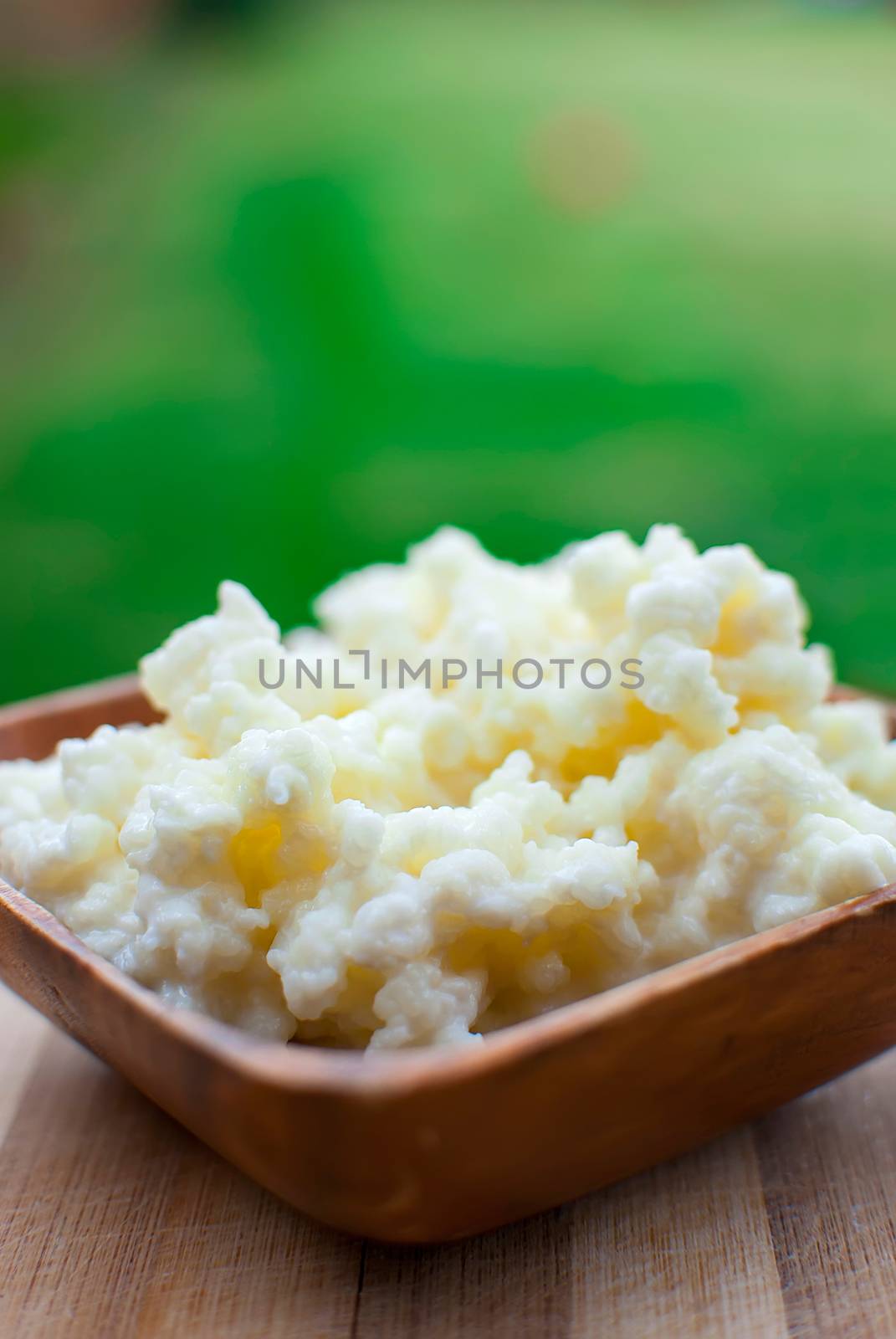 probiotic kefir drink made of milk and tibetan mushroom grains