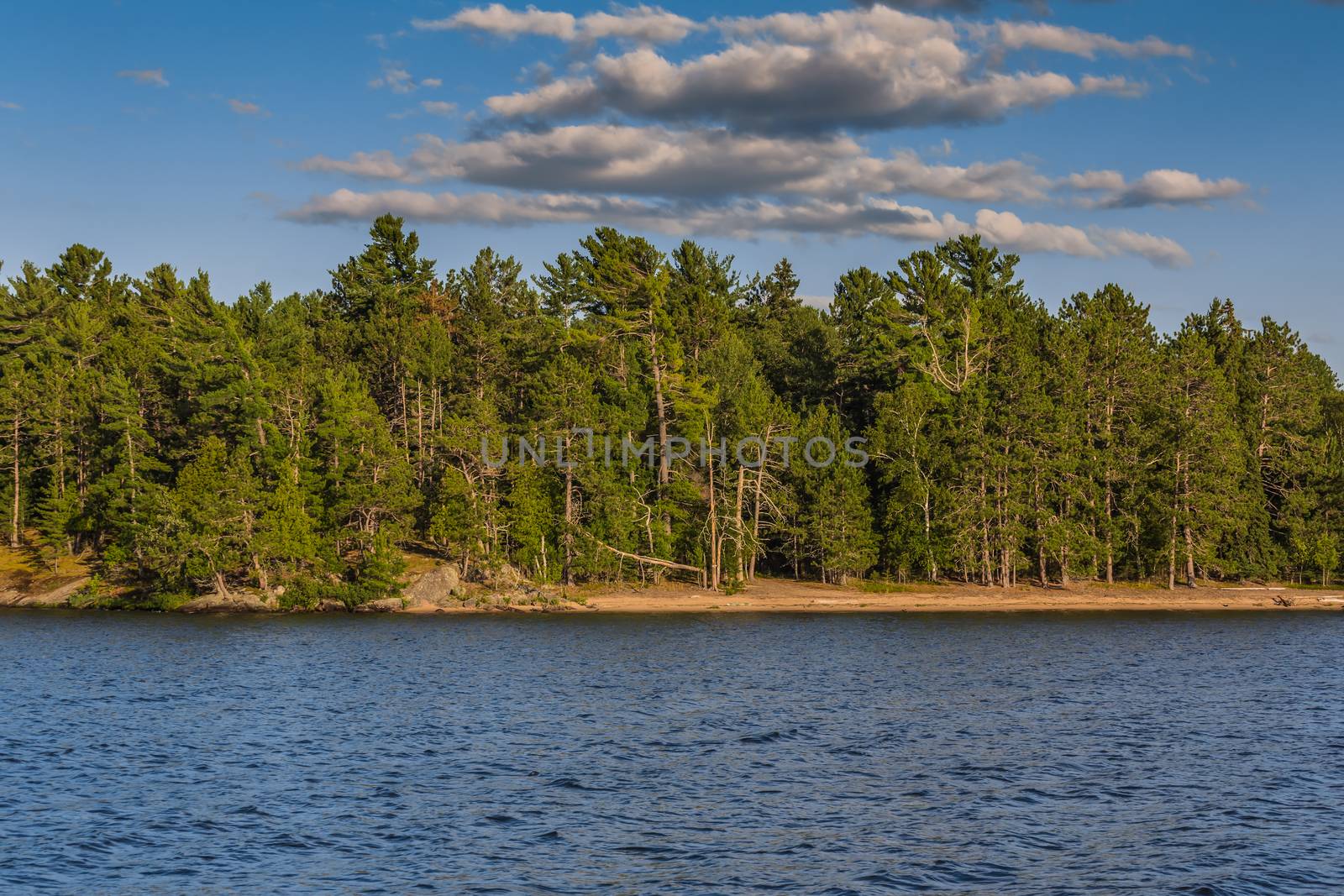 An amazing landcape of the nature containing a lake and a beautiful blue sky. The wild nature of Ontario, Canada.