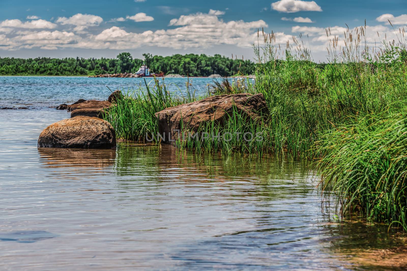 An amazing landcape of the nature containing a lake and a beautiful blue sky. The wild nature of Ontario, Canada.