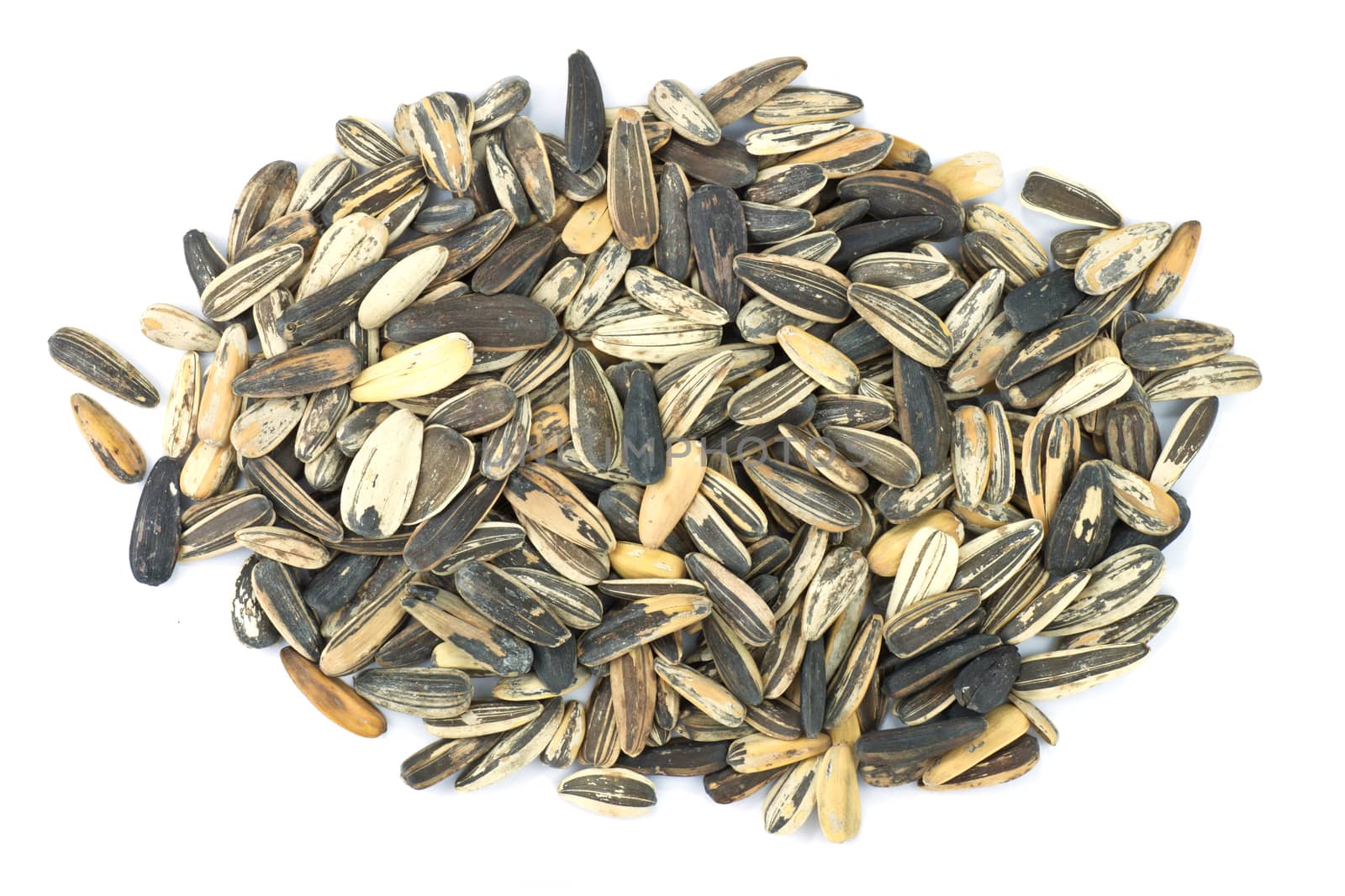 Sunflower seeds