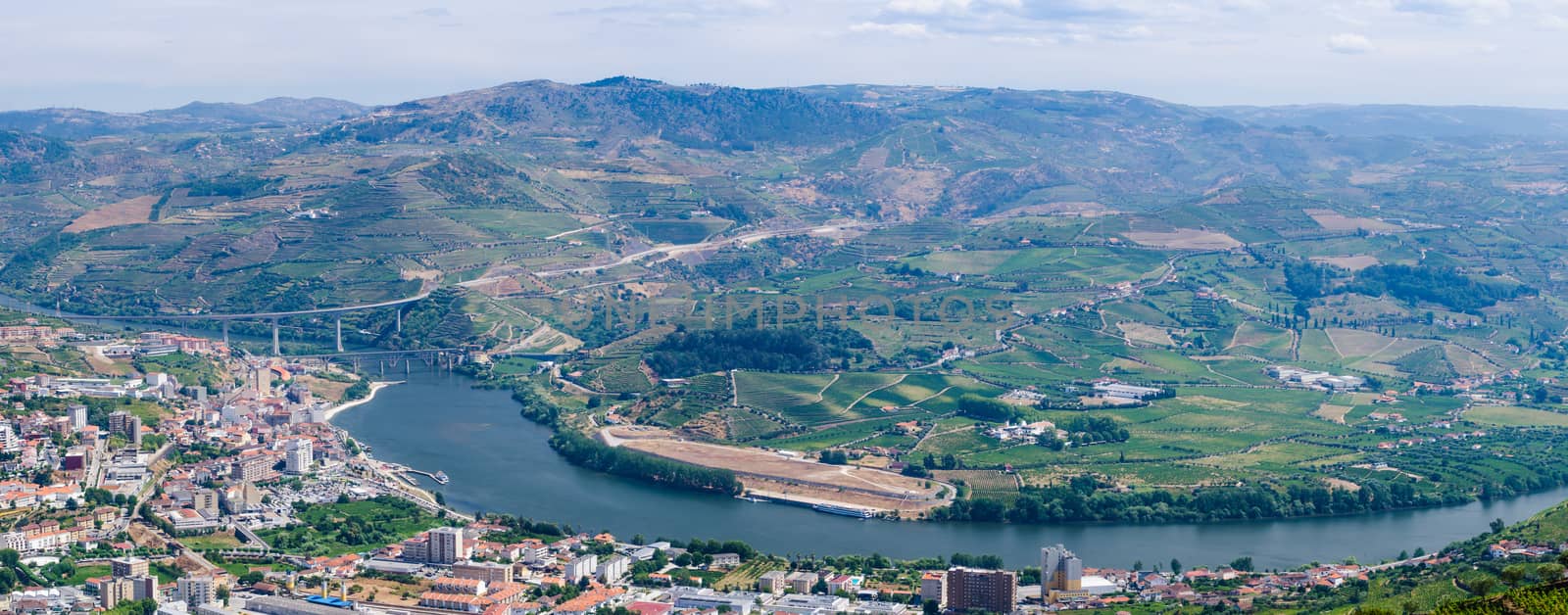 Regua, Terraced vineyards in Douro Valley, Alto Douro Wine Region in northern Portugal, officially designated by UNESCO as World Heritage Site