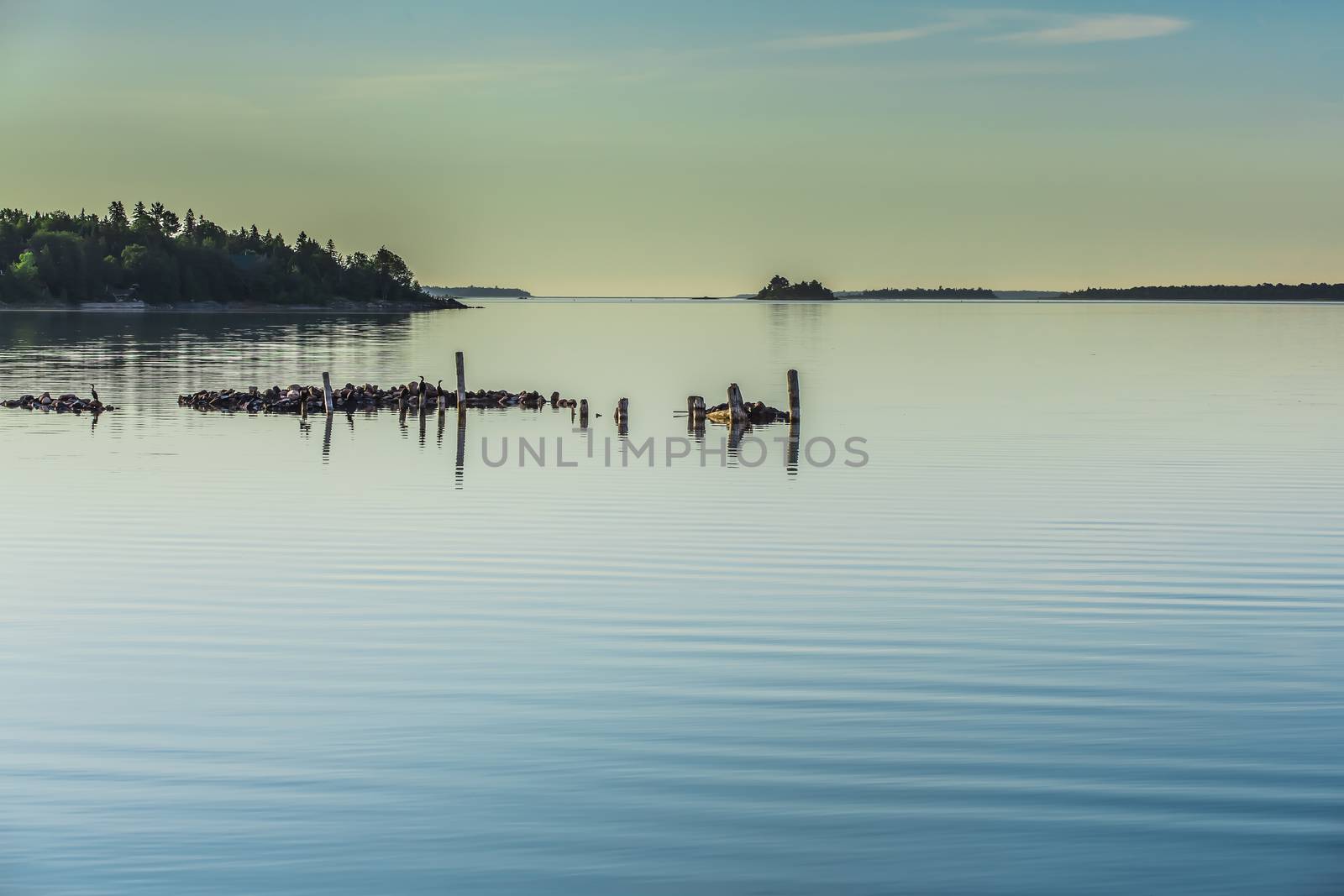 An amazing landcape of the nature containing a lake and a beautiful blue sky. The wild nature of Ontario, Canada.