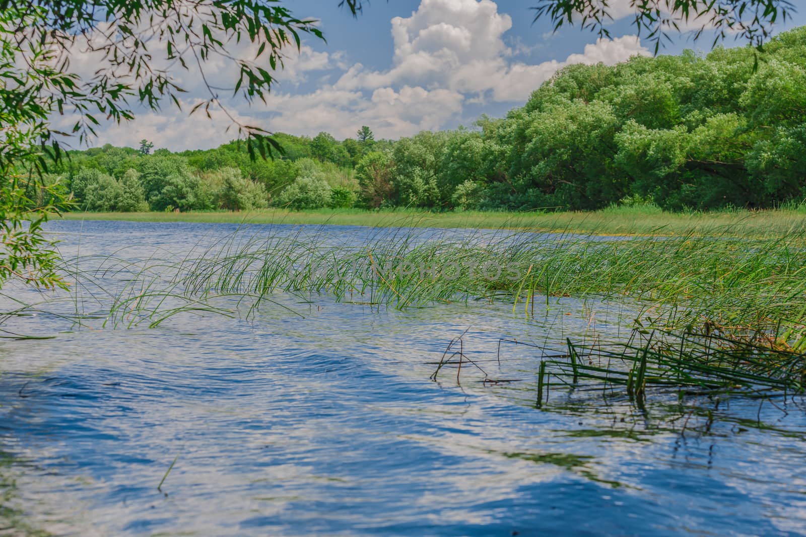 An amazing landcape of the nature containing a lake and a beautiful blue sky. The wild nature of Ontario, Canada.