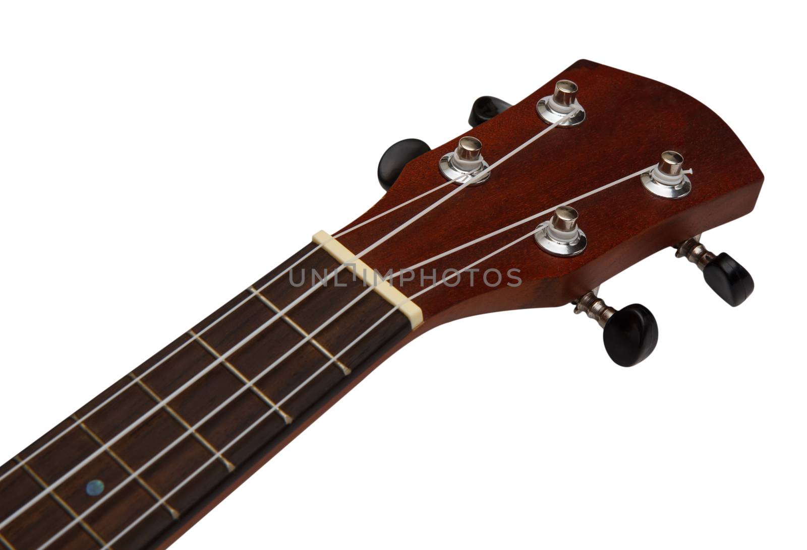 ukulele on white background