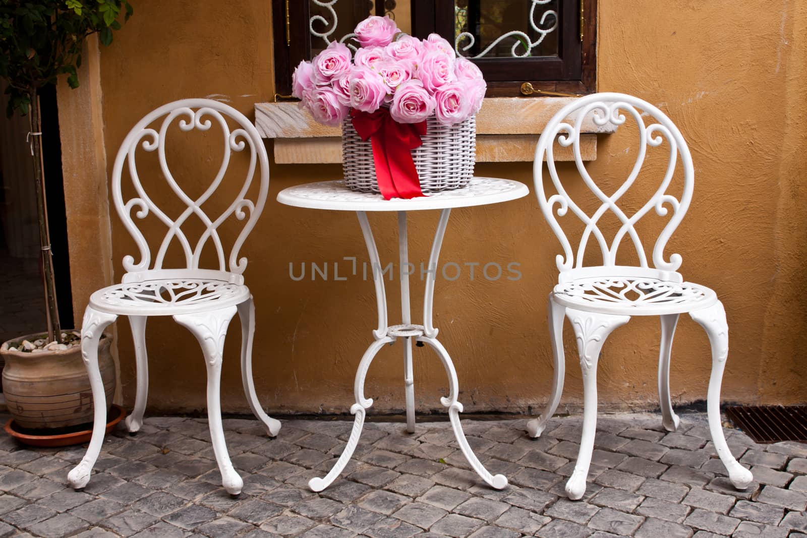 vintage chair and table with flower in front yard