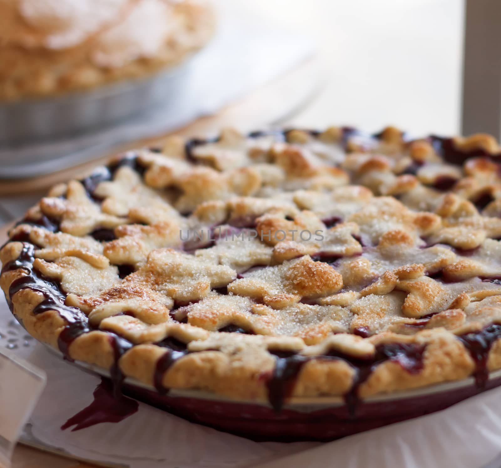 Close-up of delicious home-made blueberry pie