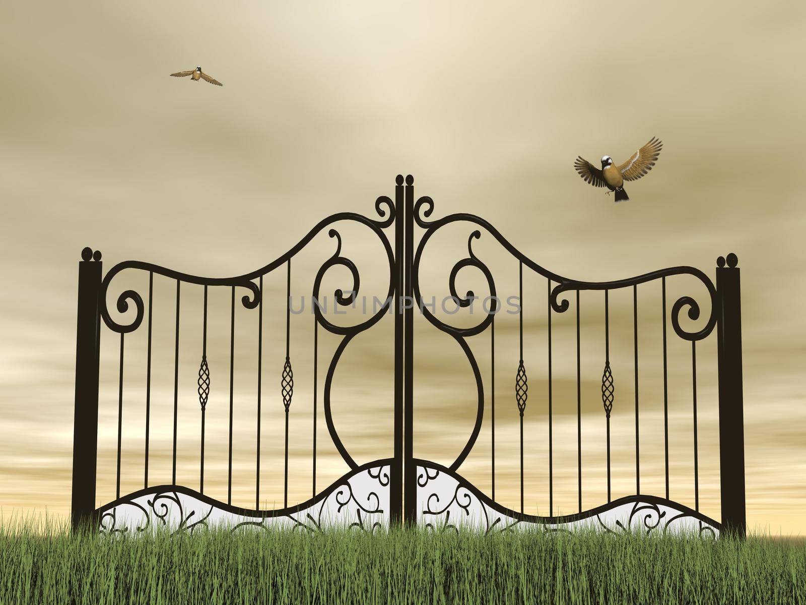 One vintage black closed gate in nature with two birds flying around by brown cloudy day