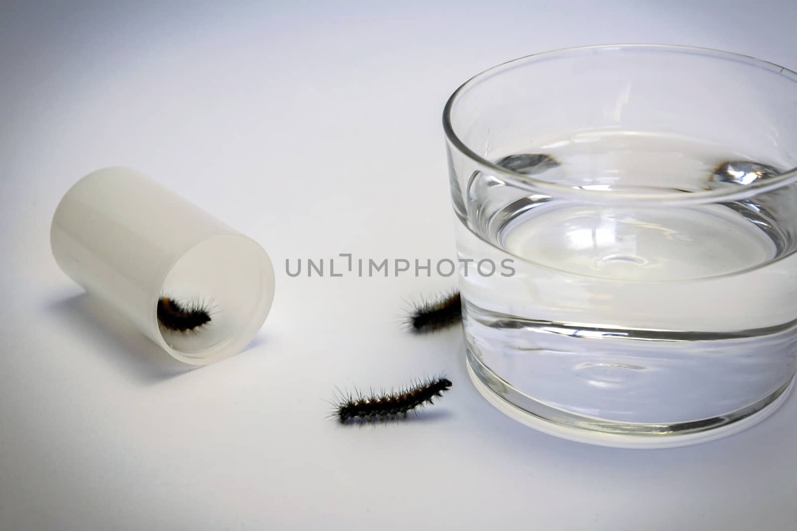 worm going out of packing medicines, Glass of water and pills isolated on white background