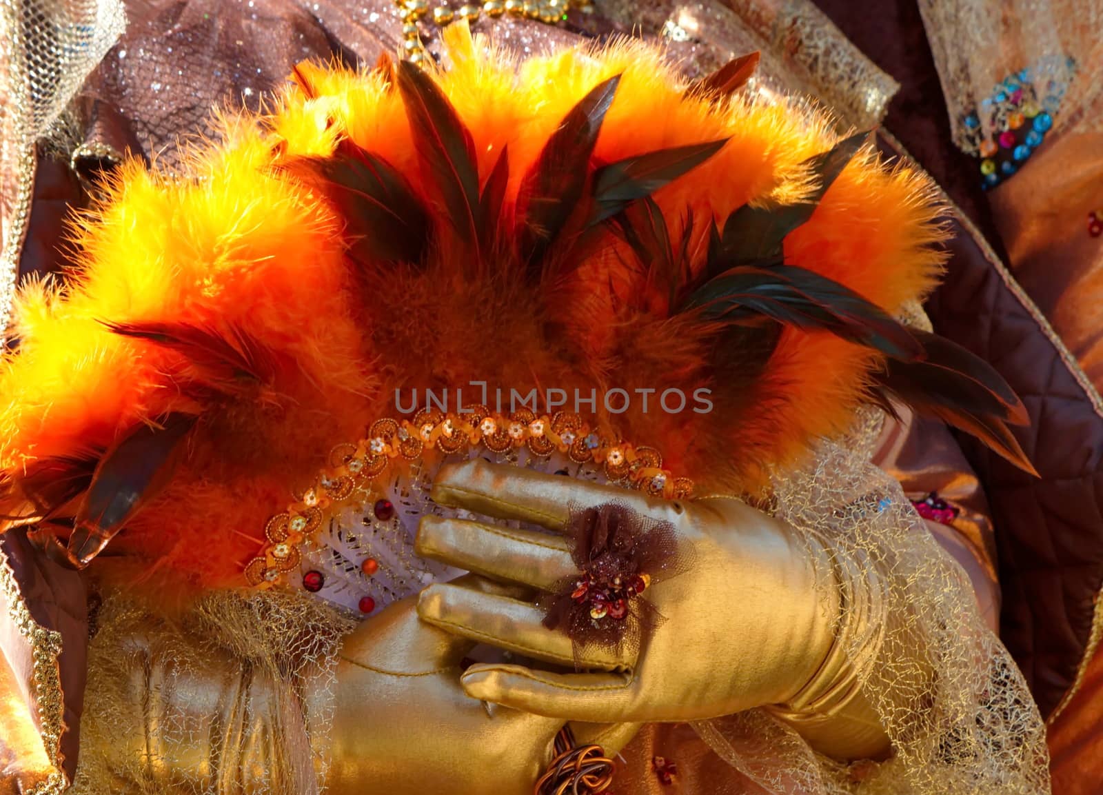 Close up on golden hands holding a colorful fan made of feather at the 2014 Annecy venetian carnival, France