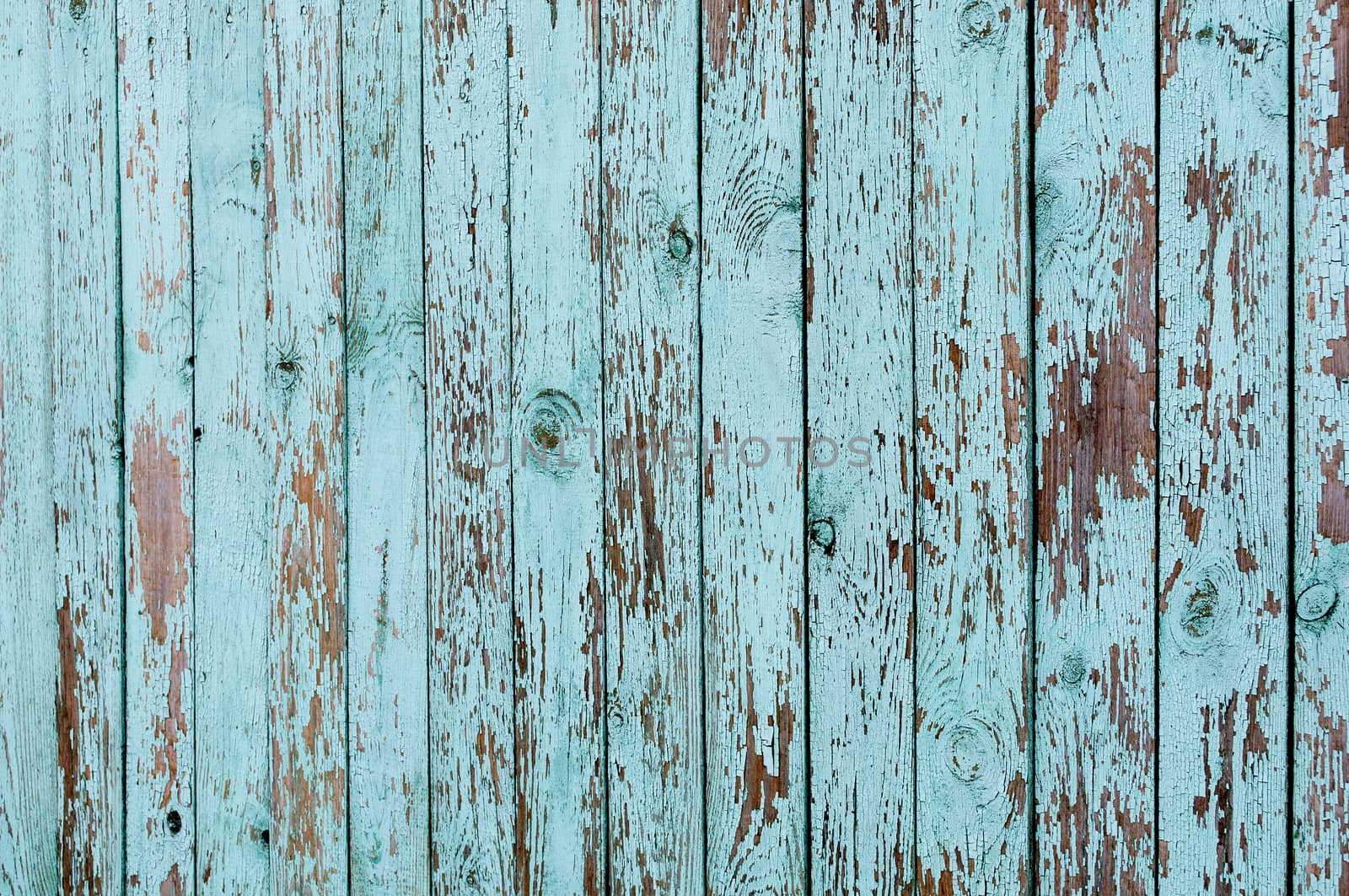 Texture of old green wooden planked fence