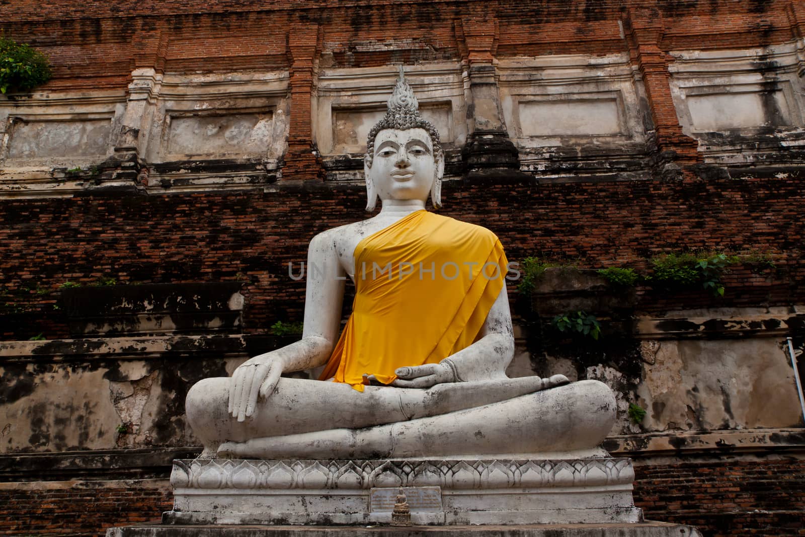 old buddha