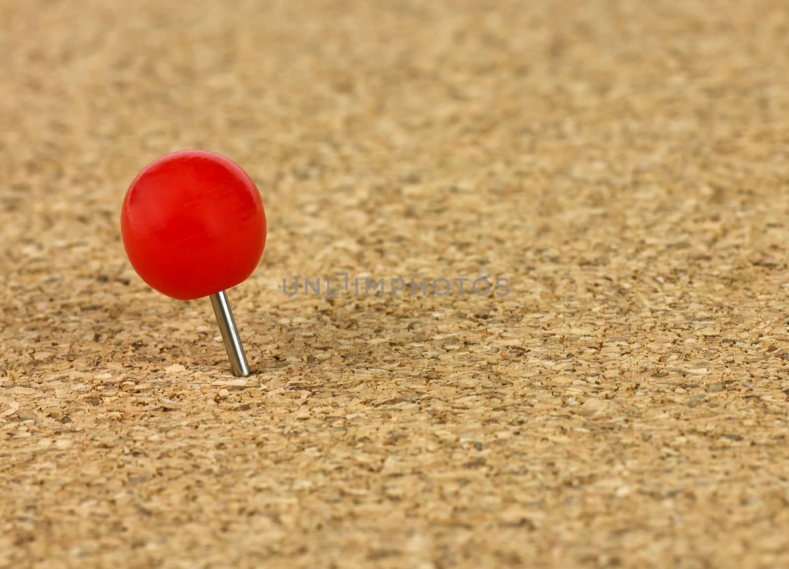 plastic thumbtack on cork billboard extreme closeup