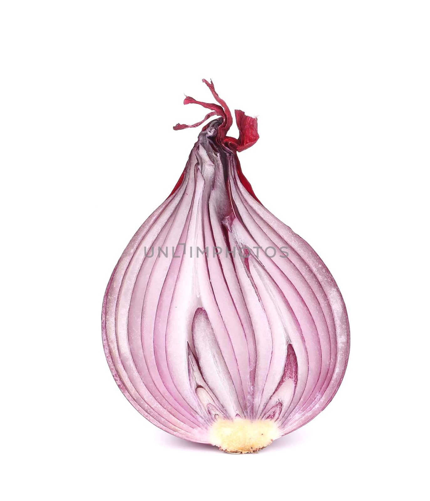 Sliced of red onion. Isolated on a white background.