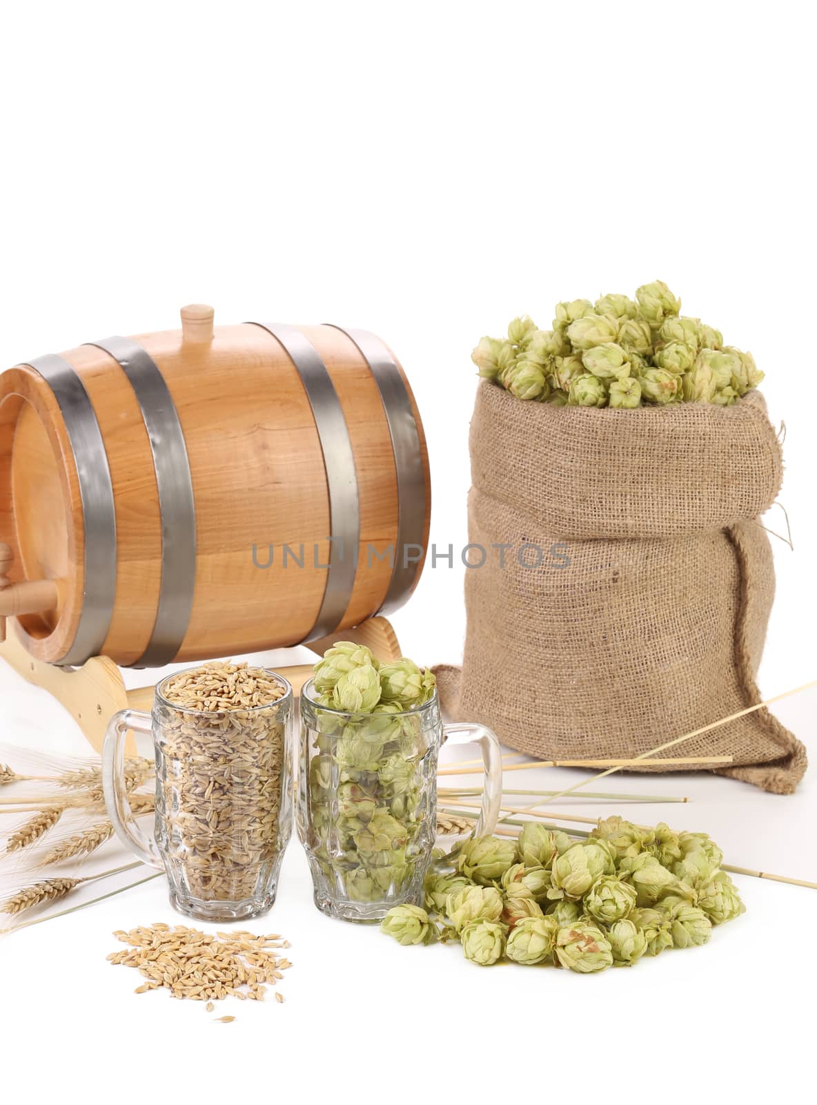 Two mugs with barley and hop. Isolated on a white background.