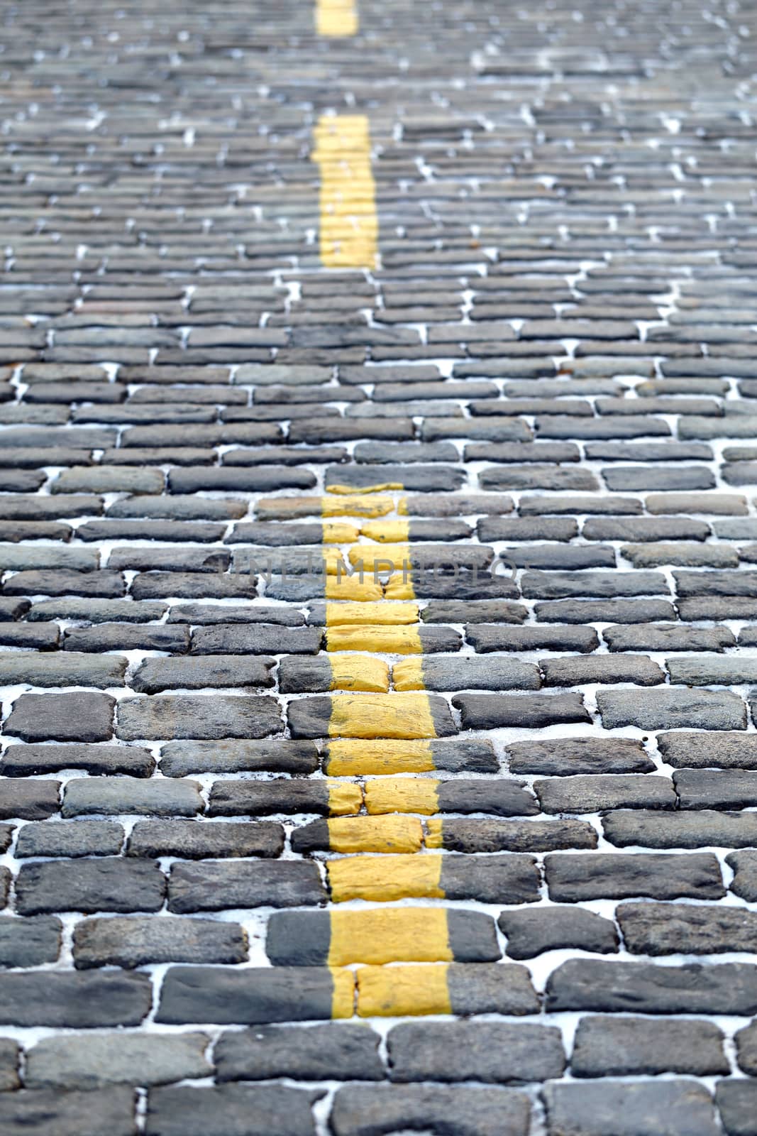 The yellow line on the pavement