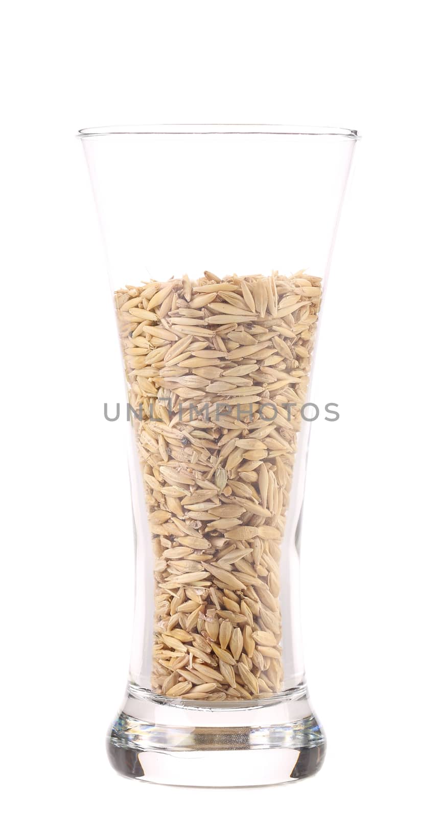 Close up of glass with barley. Isolated on a white background.