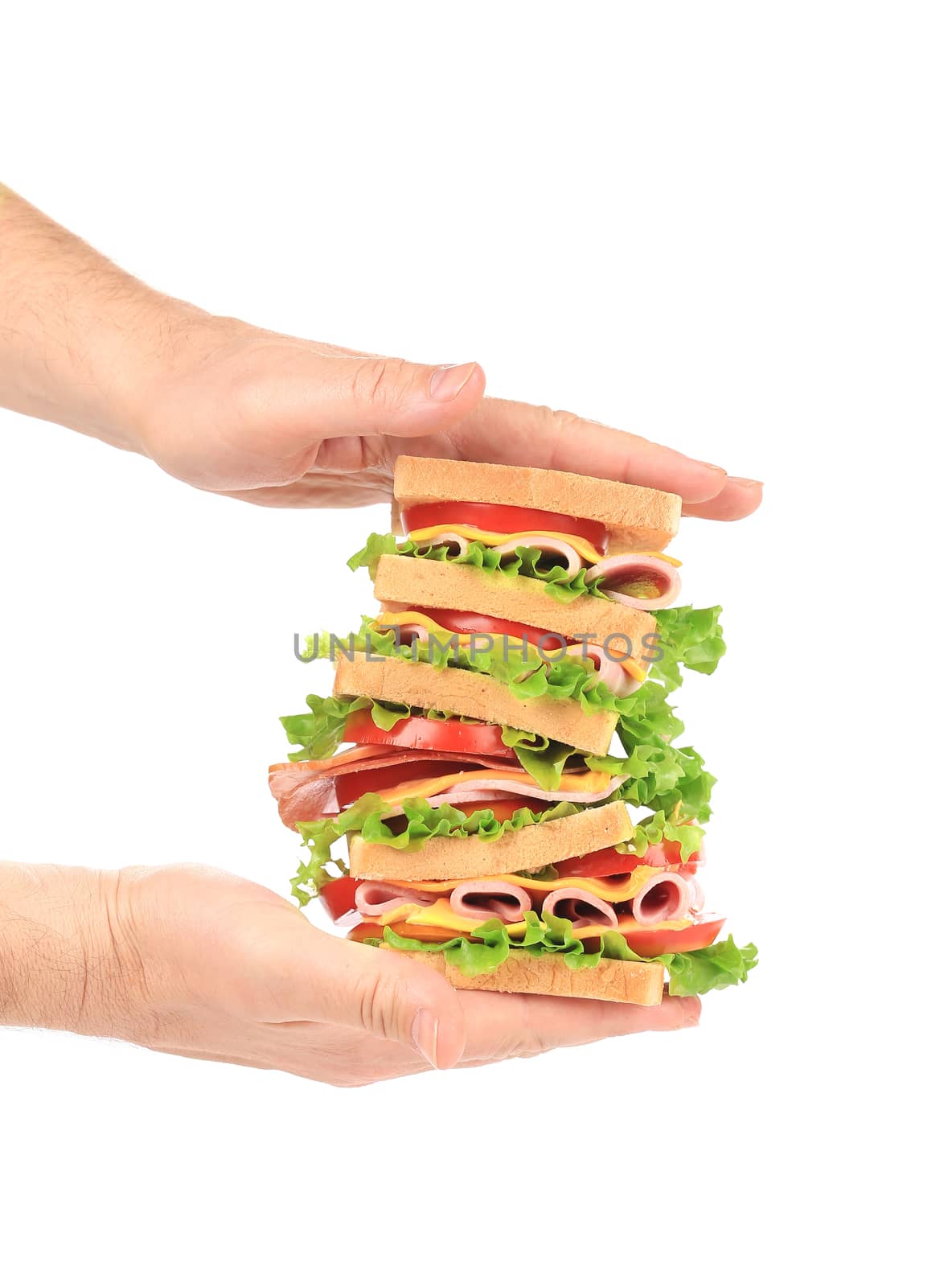 Hands holding tasty sandwich. Isolated on a white background.