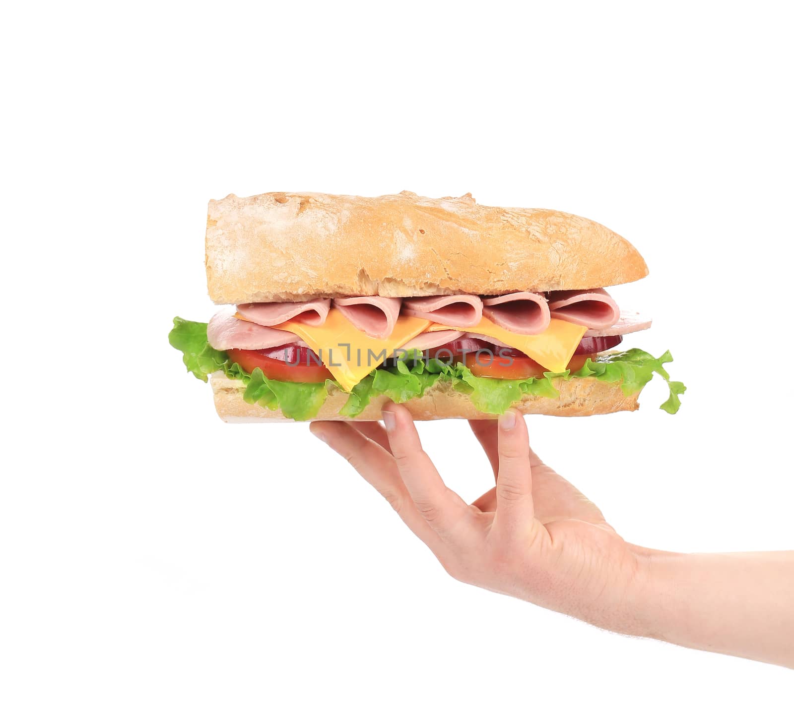 Hand holding baguette sandwich. Isolated on a white background.