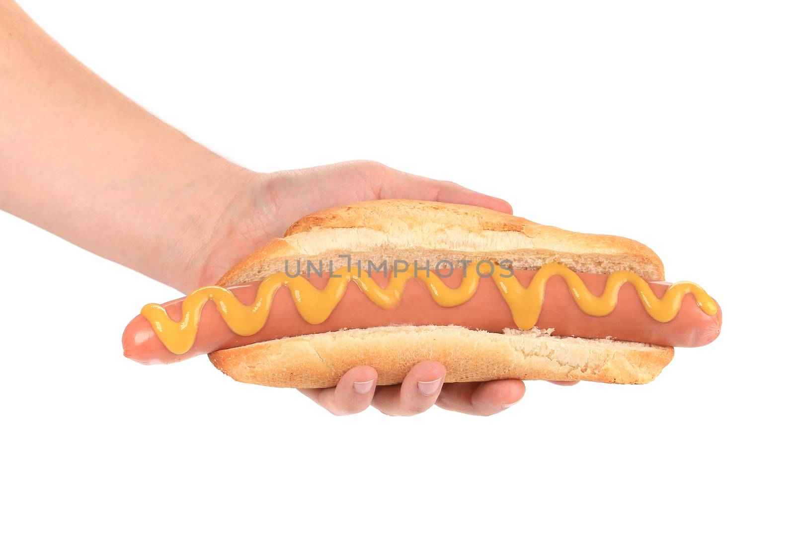 Hand holding big hot dog. Isolated on a white background.