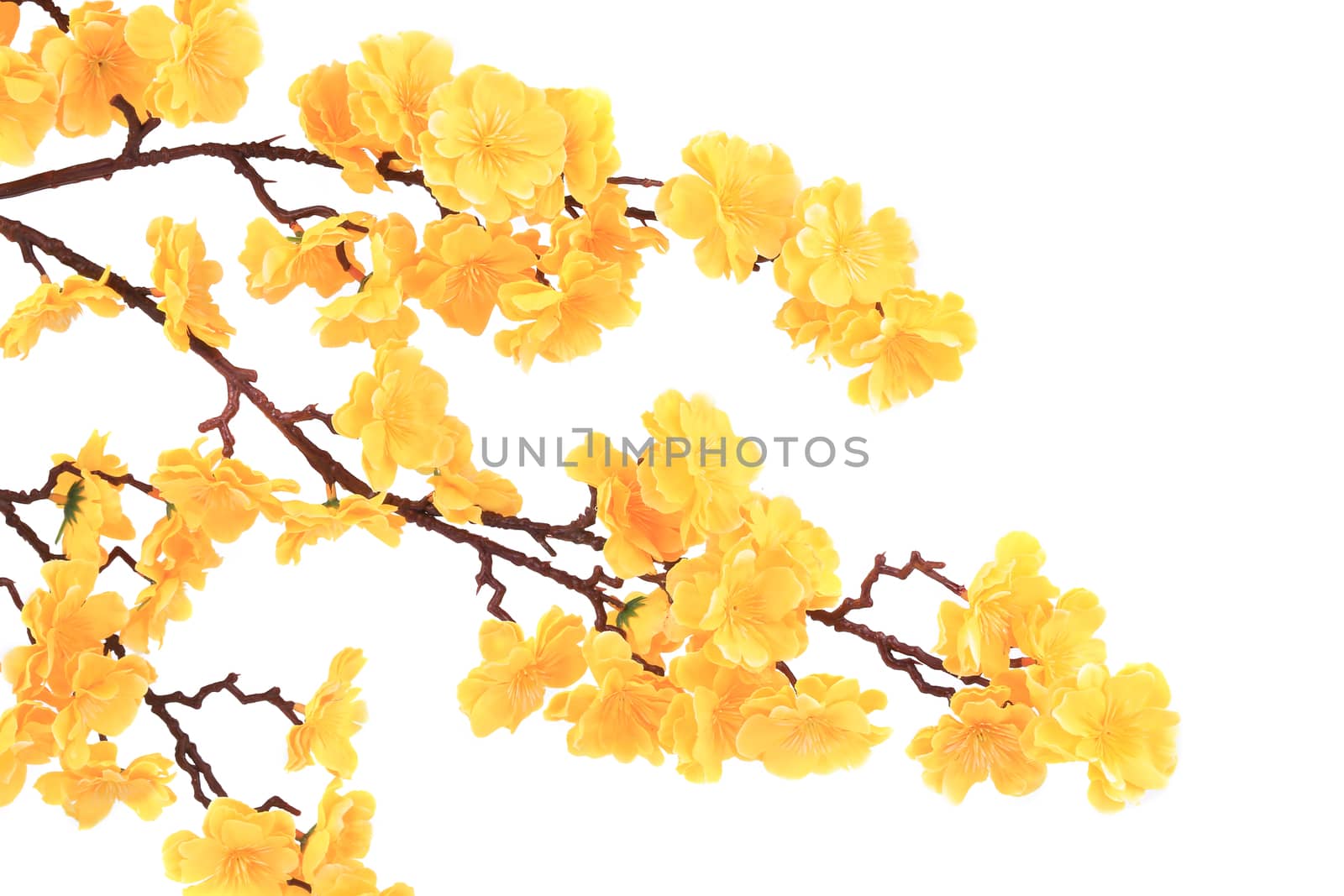 Yellow artificial flowers. Isolated on a white background.