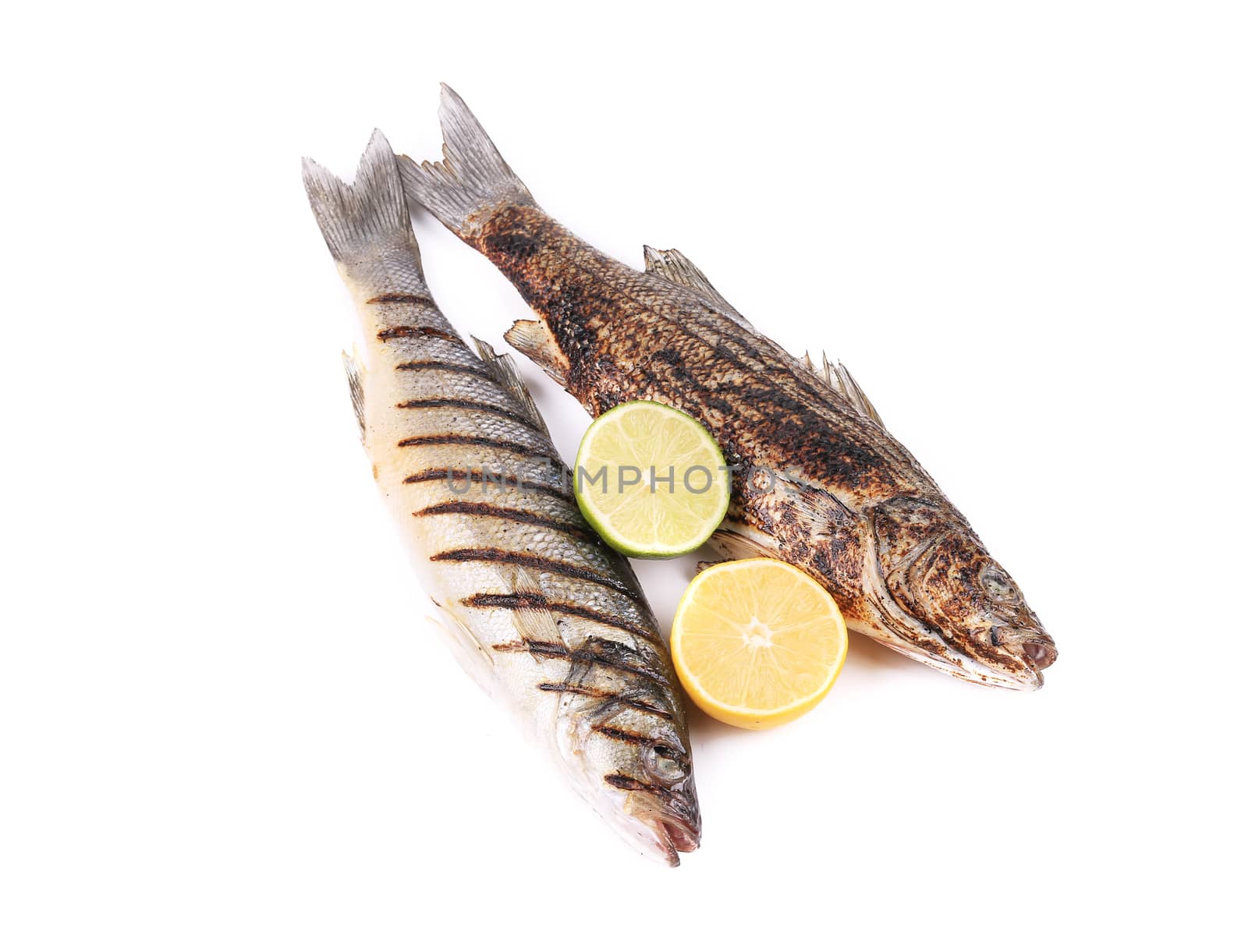 Two grilled seabass. Isolated on a white background.