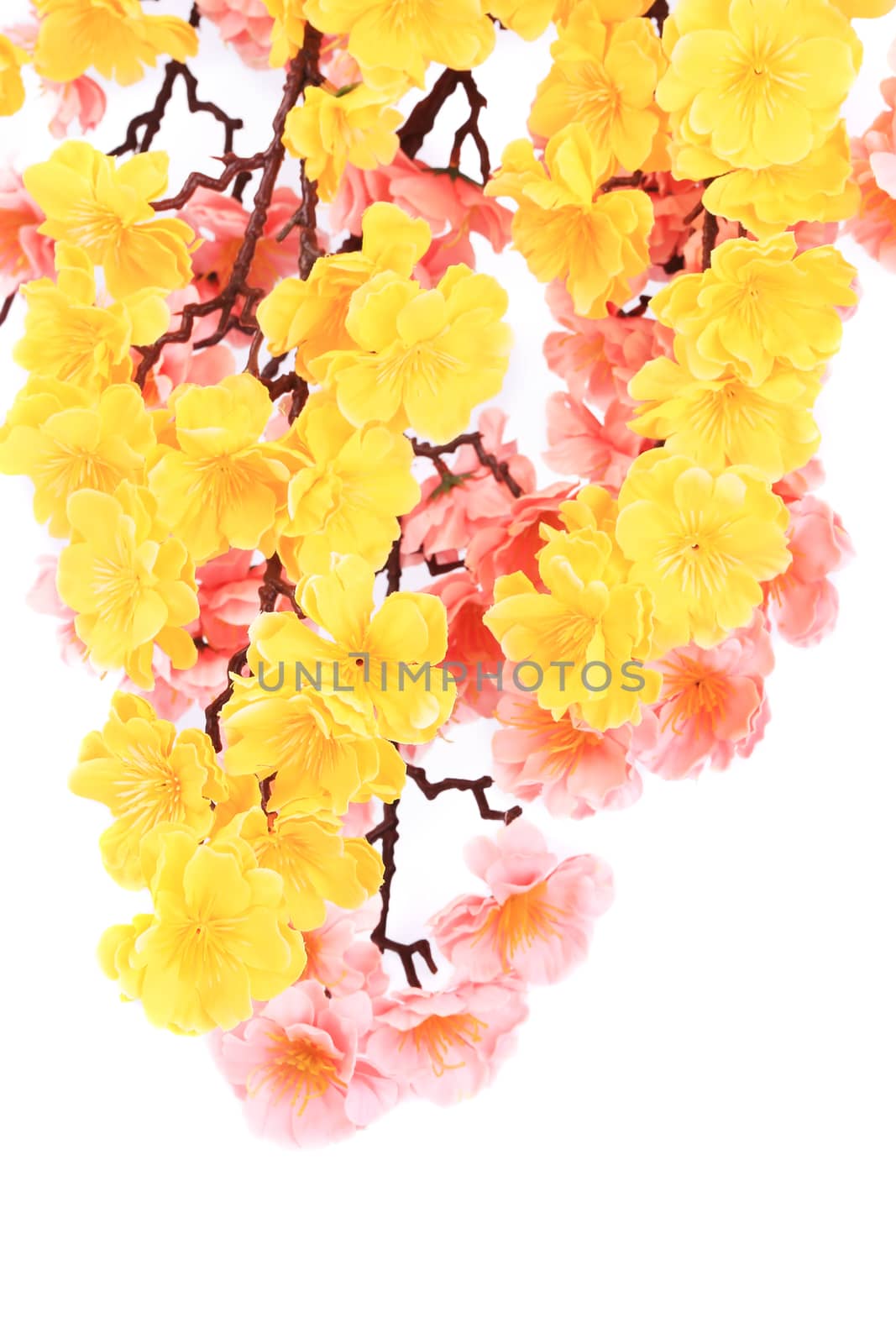 Beautiful artificial flowers. Isolated on a white background.
