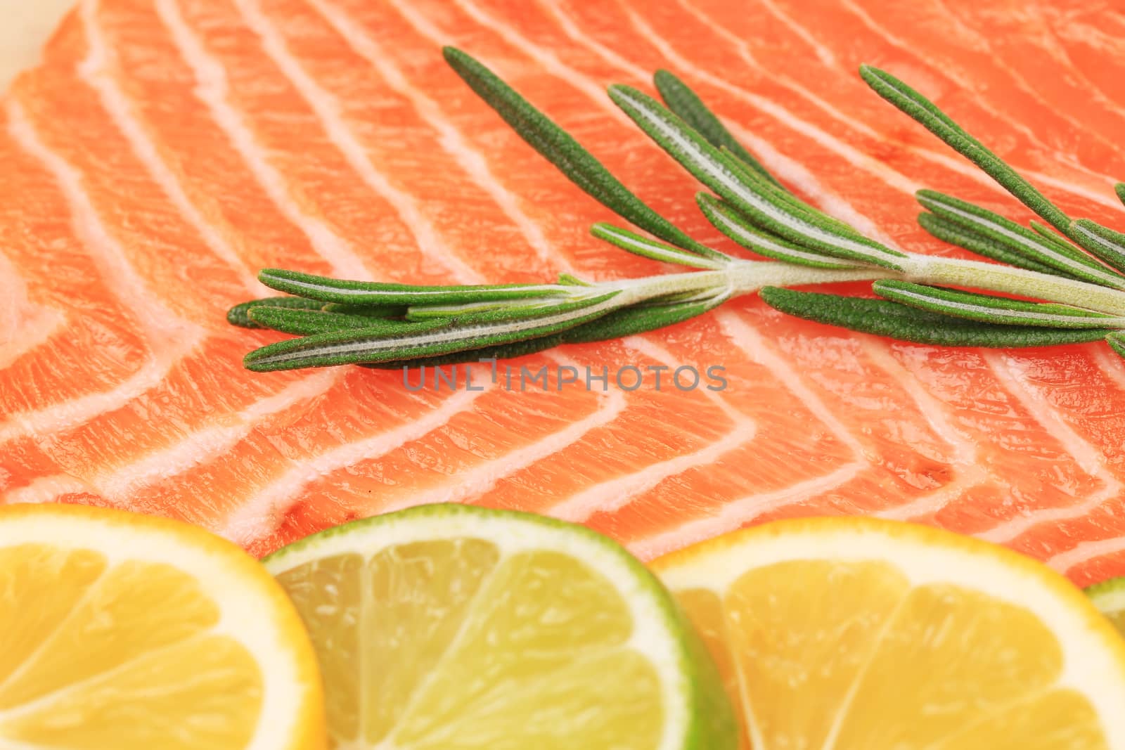 Closeup of salmon steak with rosemary.