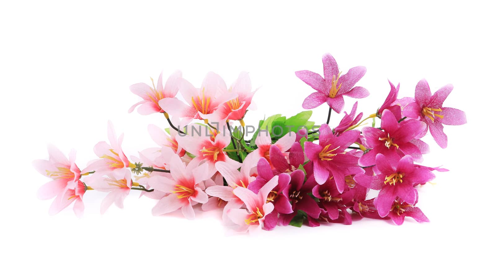 Purple artificial flowers. Isolated on a white background.